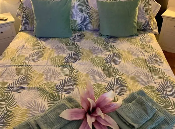 Apartment Dream Ravine Santa Cruz de Tenerife