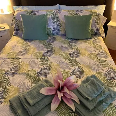 Apartment Dream Ravine Santa Cruz de Tenerife