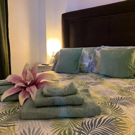 Dream Ravine 圣克鲁斯-德特内里费